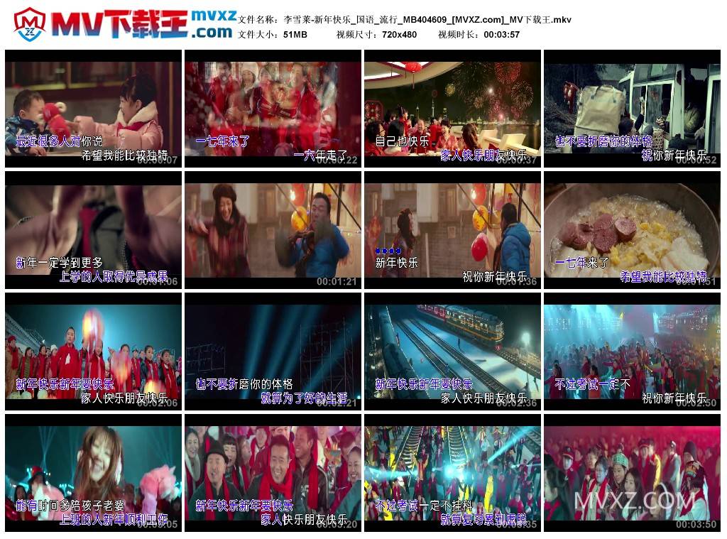 李雪莱-新年快乐_国语_流行_MB404609